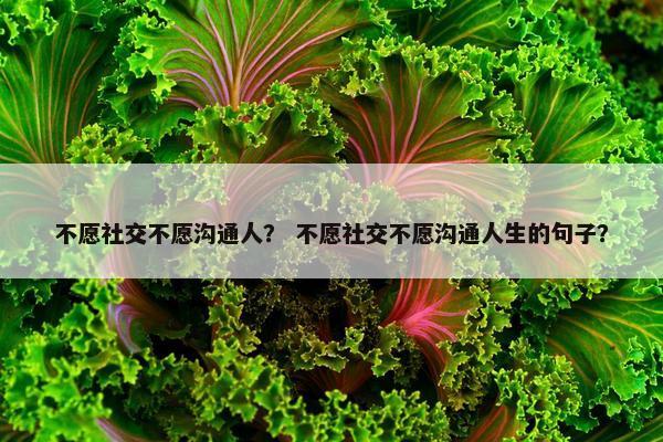 不愿社交不愿沟通人？ 不愿社交不愿沟通人生的句子？