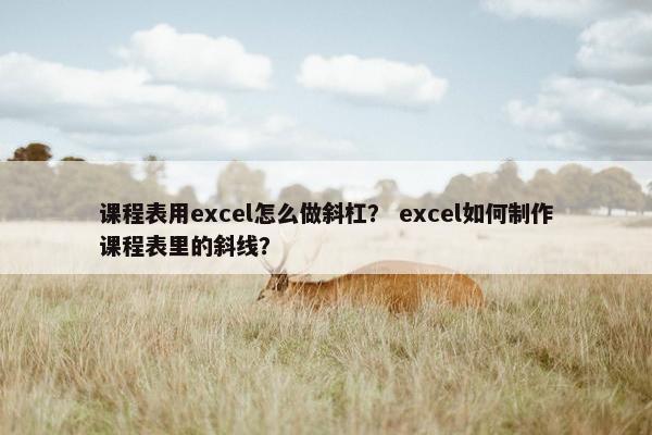 课程表用excel怎么做斜杠？ excel如何制作课程表里的斜线？