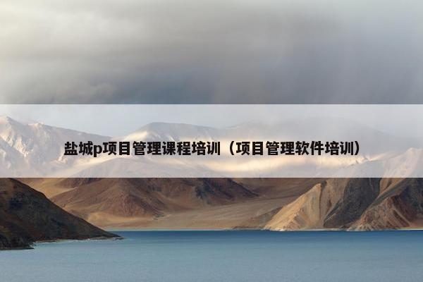 盐城p项目管理课程培训（项目管理软件培训）
