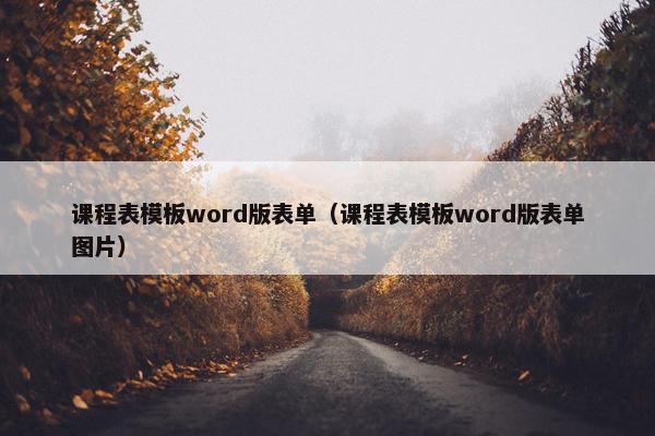 课程表模板word版表单（课程表模板word版表单图片）