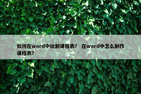 如何在word中绘制课程表？ 在word中怎么制作课程表？