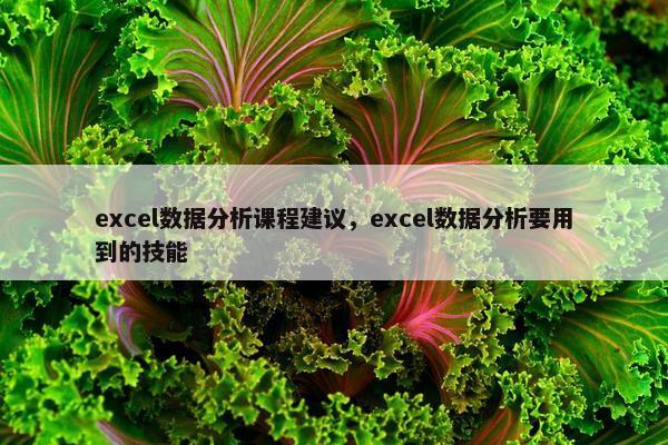 excel数据分析课程建议，excel数据分析要用到的技能