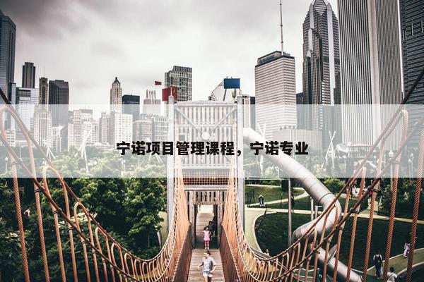 宁诺项目管理课程，宁诺专业