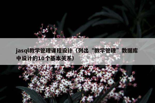 jasql教学管理课程设计（列出“教学管理”数据库中设计的10个基本关系）