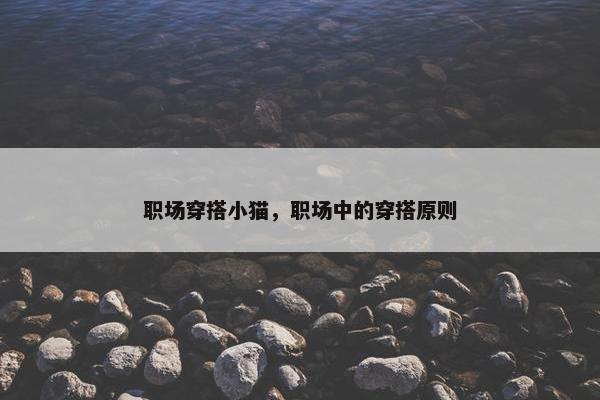 职场穿搭小猫，职场中的穿搭原则