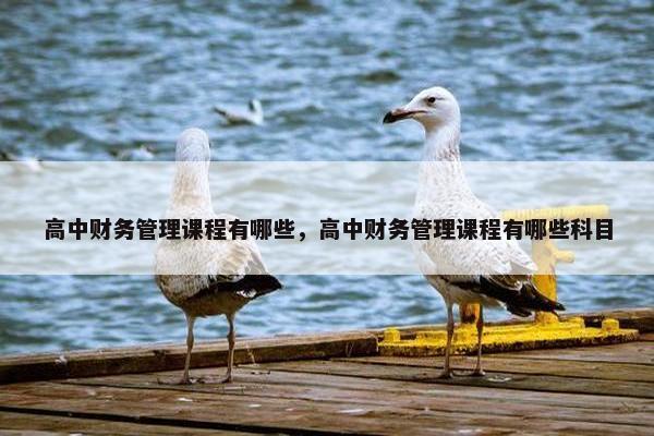 高中财务管理课程有哪些，高中财务管理课程有哪些科目