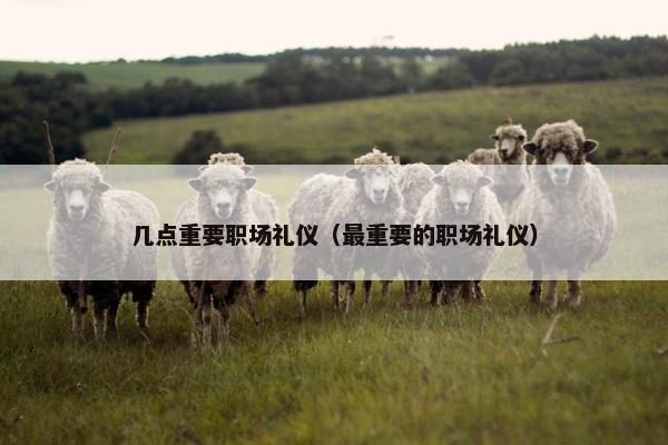几点重要职场礼仪（最重要的职场礼仪）