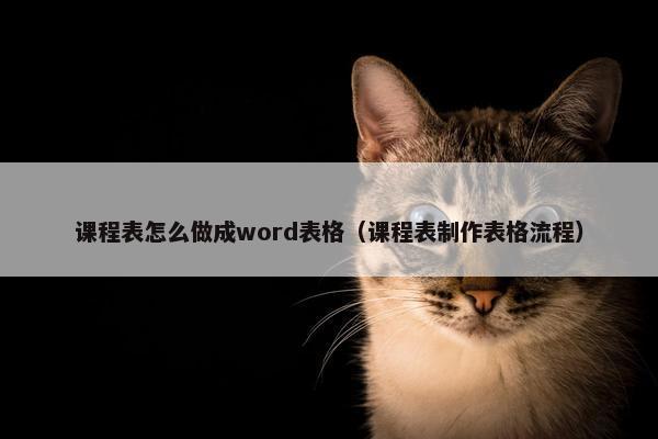 课程表怎么做成word表格（课程表制作表格流程）