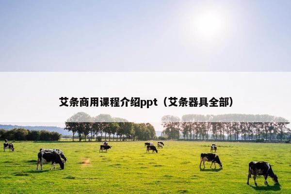 艾条商用课程介绍ppt（艾条器具全部）