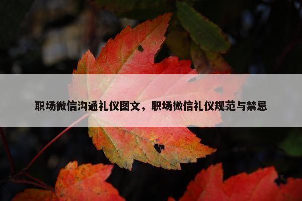 职场微信沟通礼仪图文，职场微信礼仪规范与禁忌