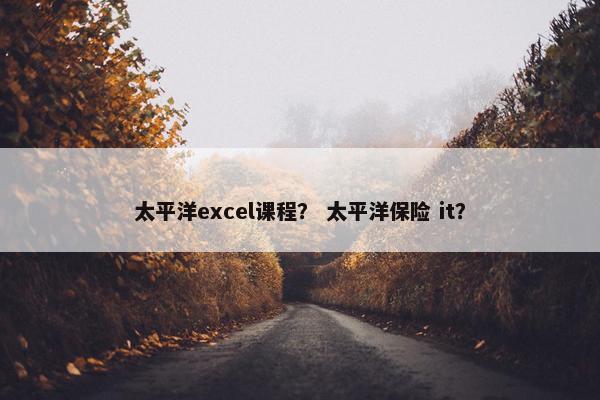 太平洋excel课程？ 太平洋保险 it？