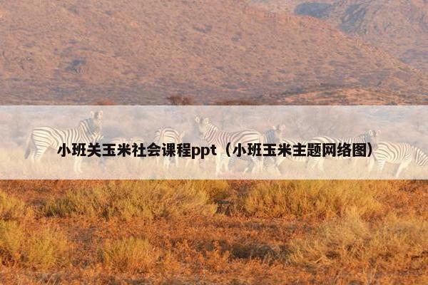 小班关玉米社会课程ppt（小班玉米主题网络图）