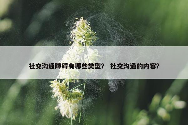 社交沟通障碍有哪些类型？ 社交沟通的内容？