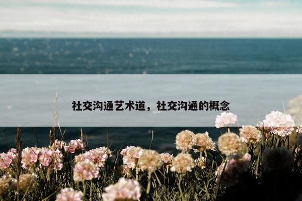社交沟通艺术道，社交沟通的概念