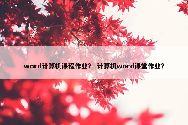 word计算机课程作业？ 计算机word课堂作业？