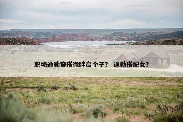 职场通勤穿搭微胖高个子？ 通勤搭配女？