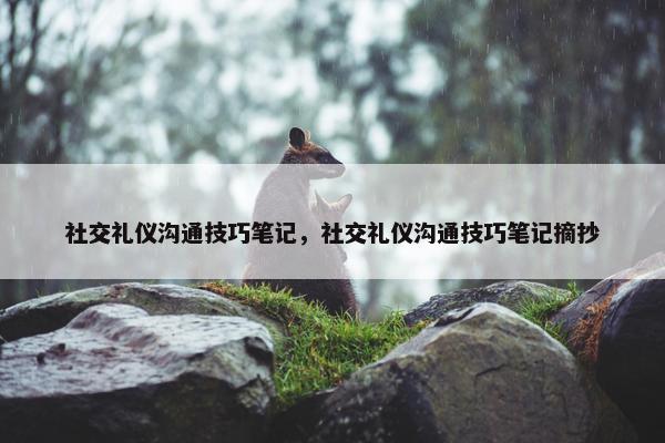 社交礼仪沟通技巧笔记，社交礼仪沟通技巧笔记摘抄