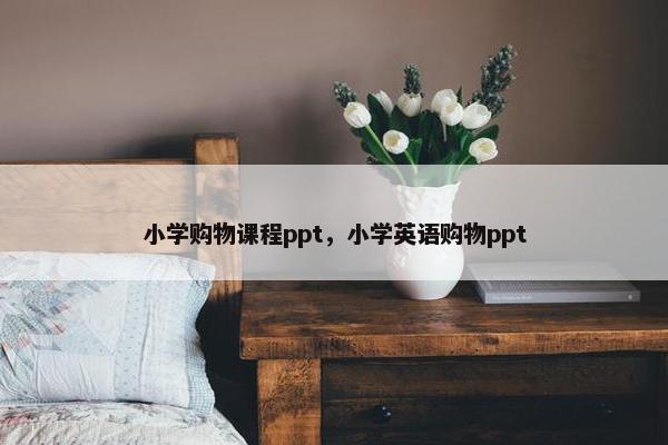 小学购物课程ppt，小学英语购物ppt