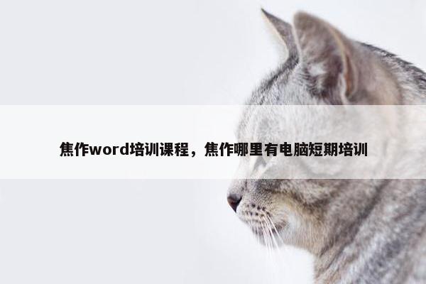 焦作word培训课程，焦作哪里有电脑短期培训