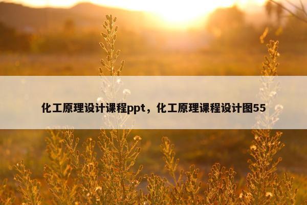 化工原理设计课程ppt，化工原理课程设计图55