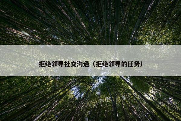 拒绝领导社交沟通（拒绝领导的任务）