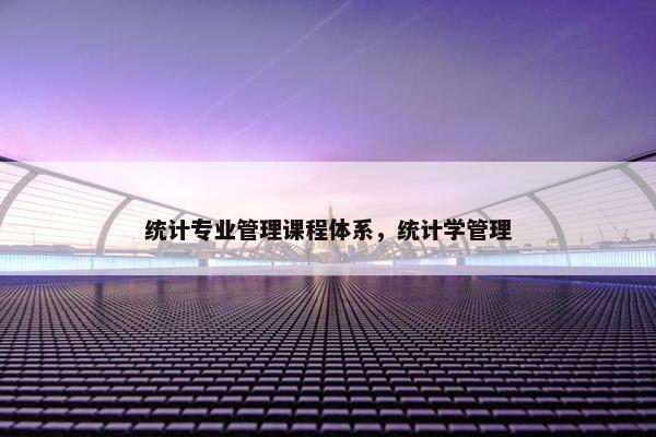 统计专业管理课程体系，统计学管理
