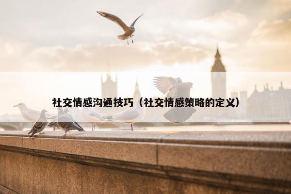 社交情感沟通技巧（社交情感策略的定义）