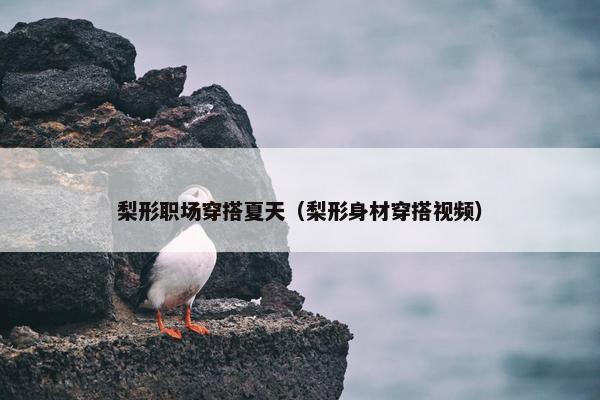 梨形职场穿搭夏天（梨形身材穿搭视频）