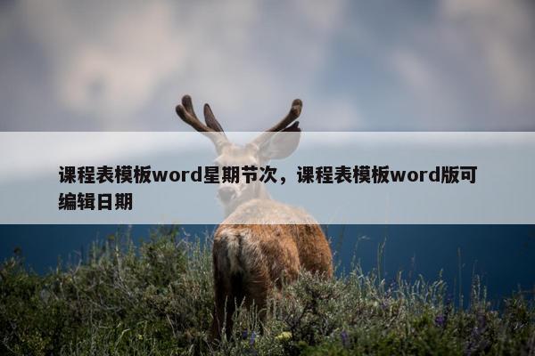 课程表模板word星期节次，课程表模板word版可编辑日期