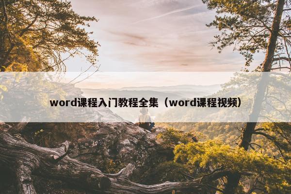 word课程入门教程全集（word课程视频）
