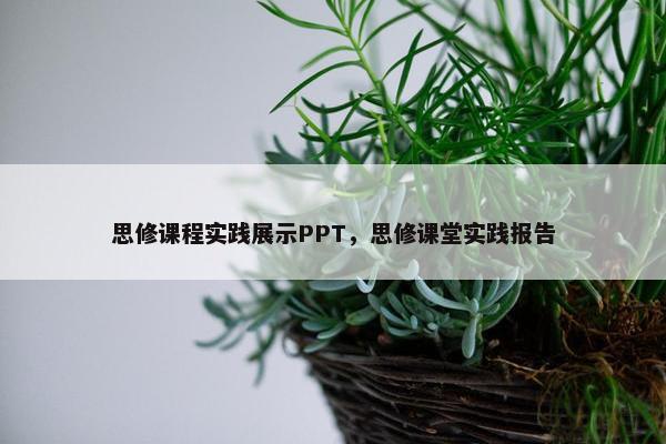 思修课程实践展示PPT，思修课堂实践报告