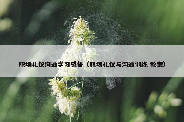 职场礼仪沟通学习感悟（职场礼仪与沟通训练 教案）
