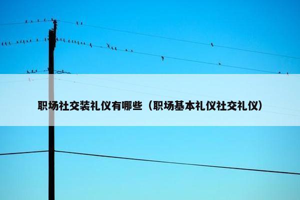 职场社交装礼仪有哪些（职场基本礼仪社交礼仪）
