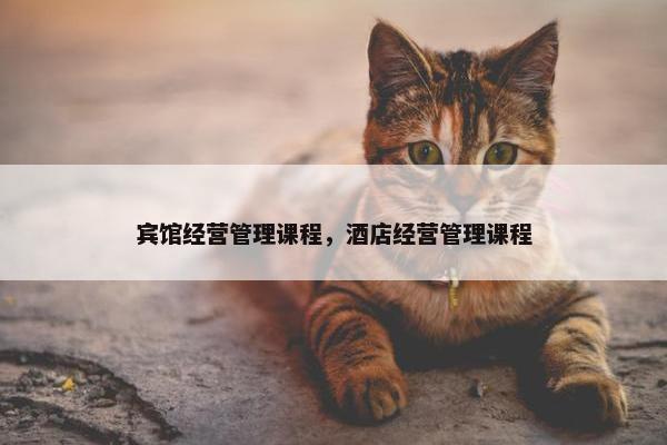 宾馆经营管理课程，酒店经营管理课程