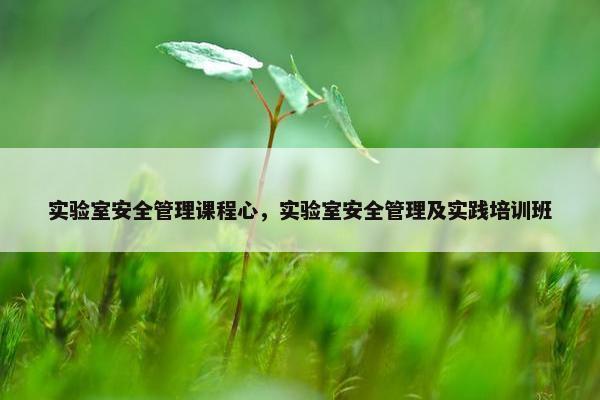 实验室安全管理课程心，实验室安全管理及实践培训班