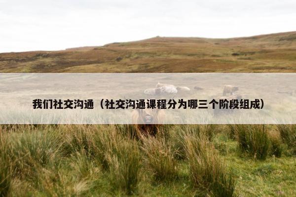 我们社交沟通（社交沟通课程分为哪三个阶段组成）