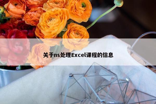 关于ns处理Excel课程的信息