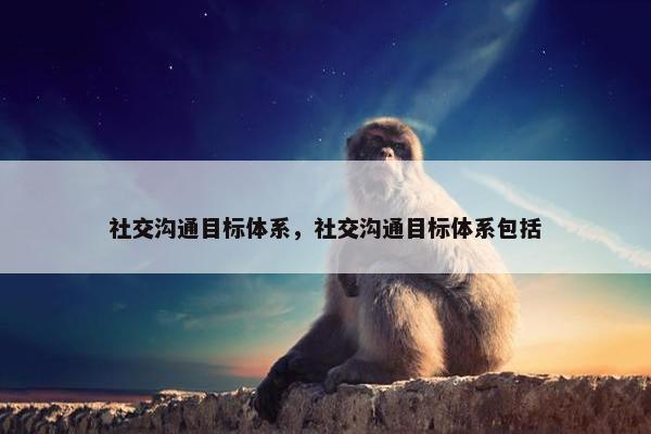 社交沟通目标体系，社交沟通目标体系包括