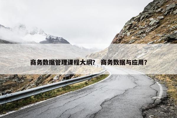 商务数据管理课程大纲？ 商务数据与应用？