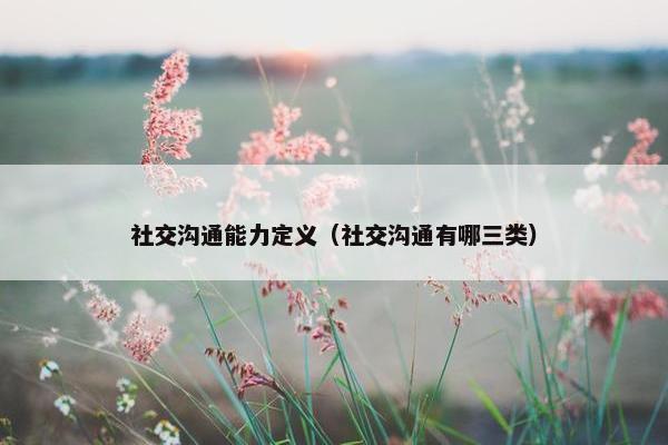 社交沟通能力定义（社交沟通有哪三类）