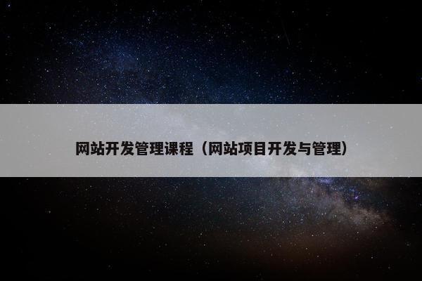 网站开发管理课程（网站项目开发与管理）