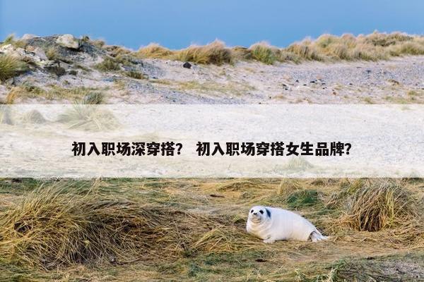 初入职场深穿搭？ 初入职场穿搭女生品牌？