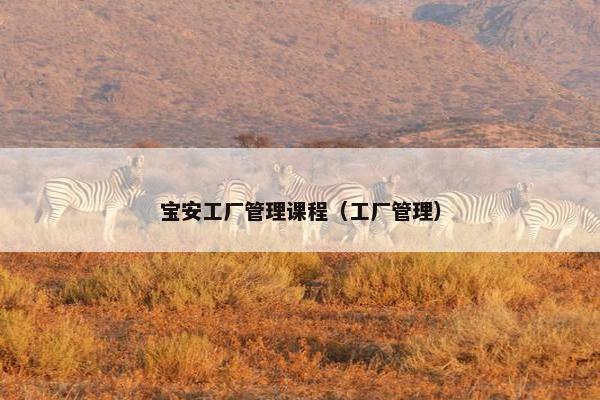 宝安工厂管理课程（工厂管理）