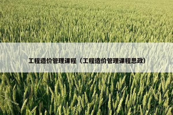 工程造价管理课程（工程造价管理课程思政）
