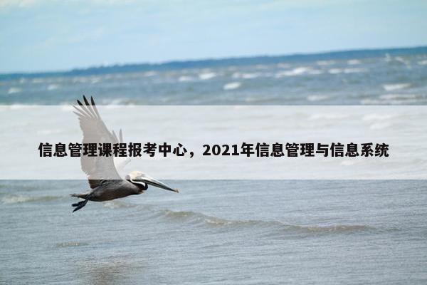 信息管理课程报考中心，2021年信息管理与信息系统
