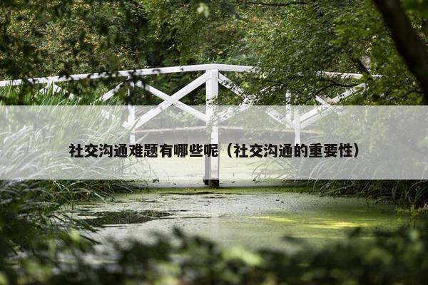 社交沟通难题有哪些呢（社交沟通的重要性）