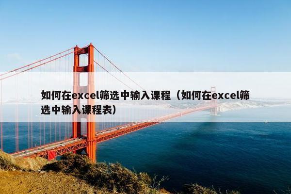 如何在excel筛选中输入课程（如何在excel筛选中输入课程表）