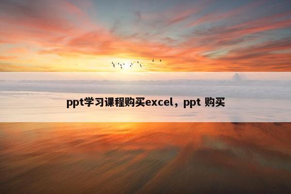 ppt学习课程购买excel，ppt 购买