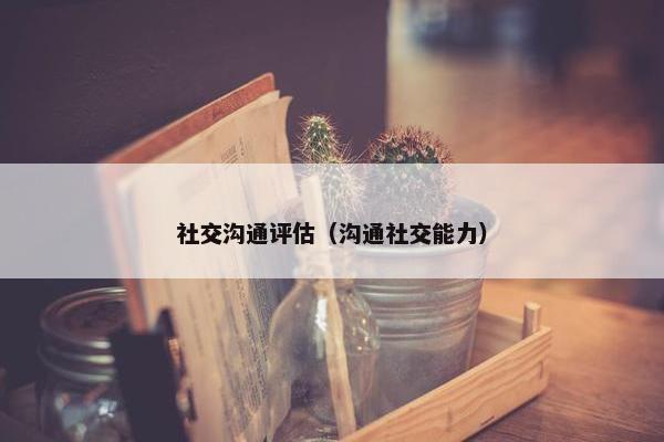 社交沟通评估（沟通社交能力）