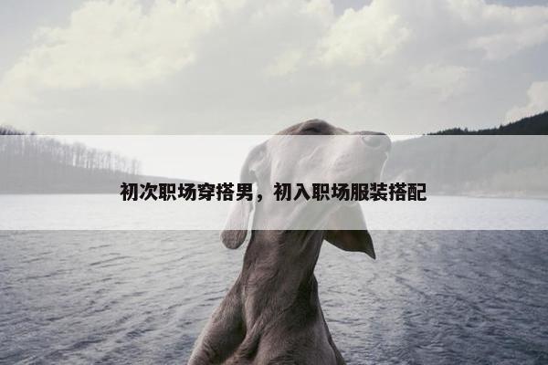 初次职场穿搭男，初入职场服装搭配